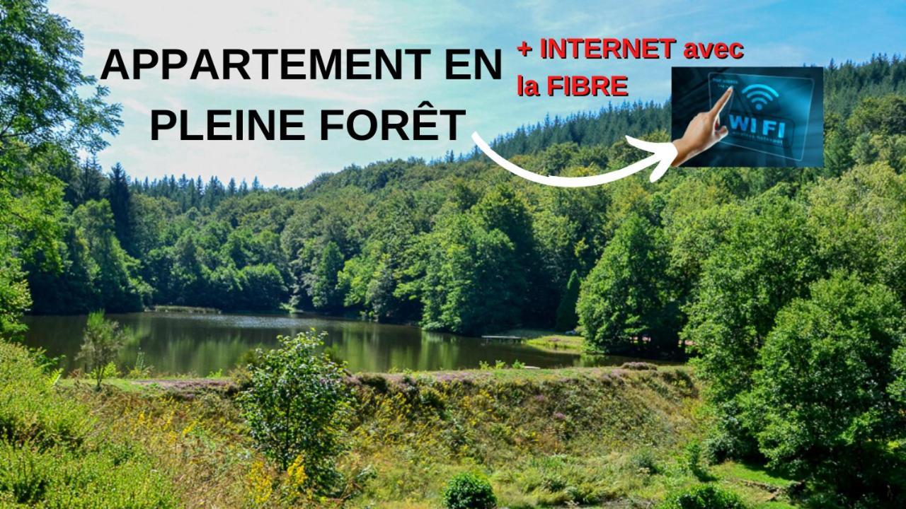 Appartement Aux Sources De La Chabanne Saint-Hilaire-les-Courbes Kültér fotó